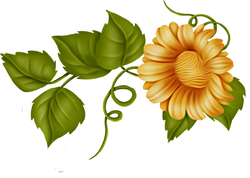 1454d84a9a67fc90e38e64546cebabde.png