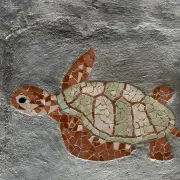 Turtle Alley52