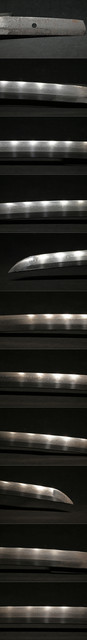 DSC8336.jpg