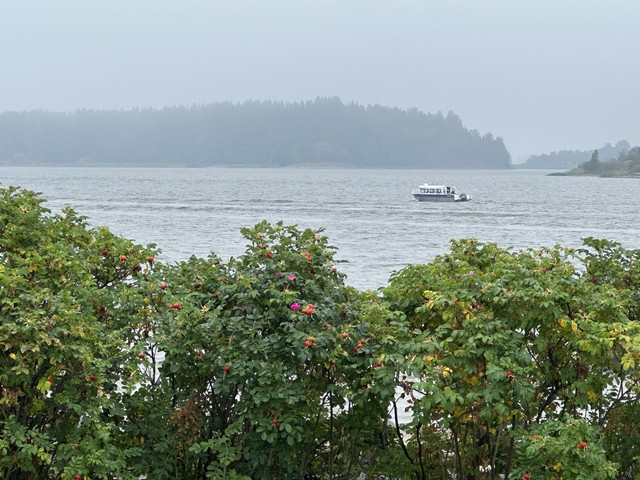 IMG 4380.jpg