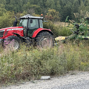 IMG 4422