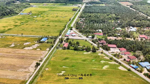 Sawah Air Papan6.webp