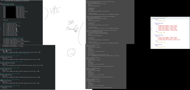 selfhostpaint