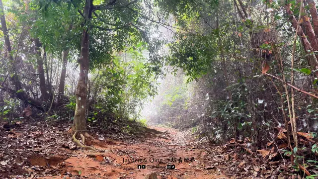 Gunung Lambak6.webp