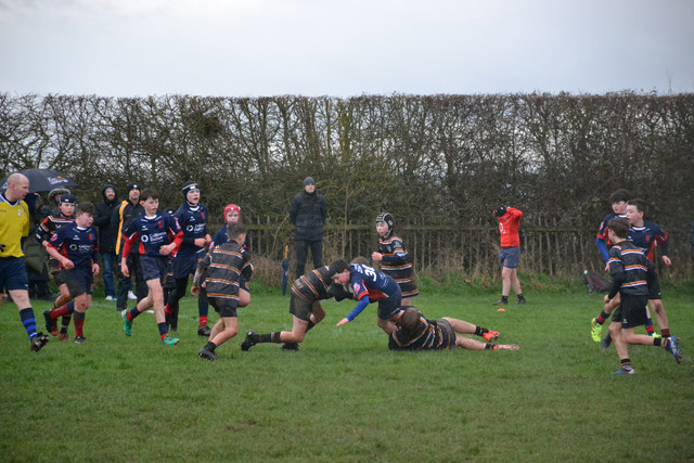 DSC 1043.jpg