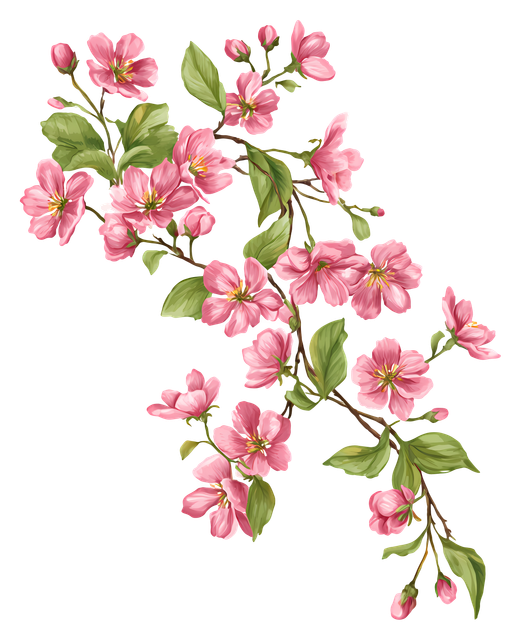 c75b42ecc645625d4a944d46ce1da6d0.png