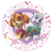 2102322-Patrulha-Canina-Rosa-Ana