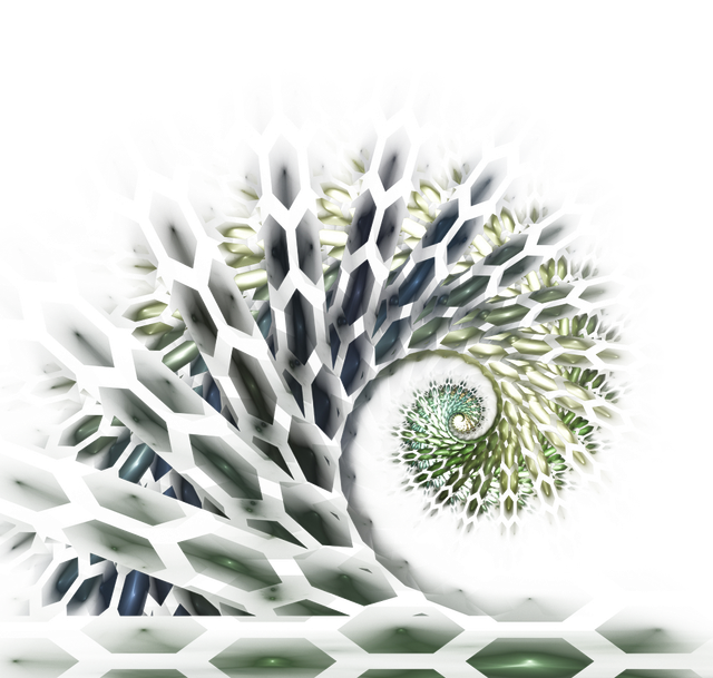 B01 2 N.png