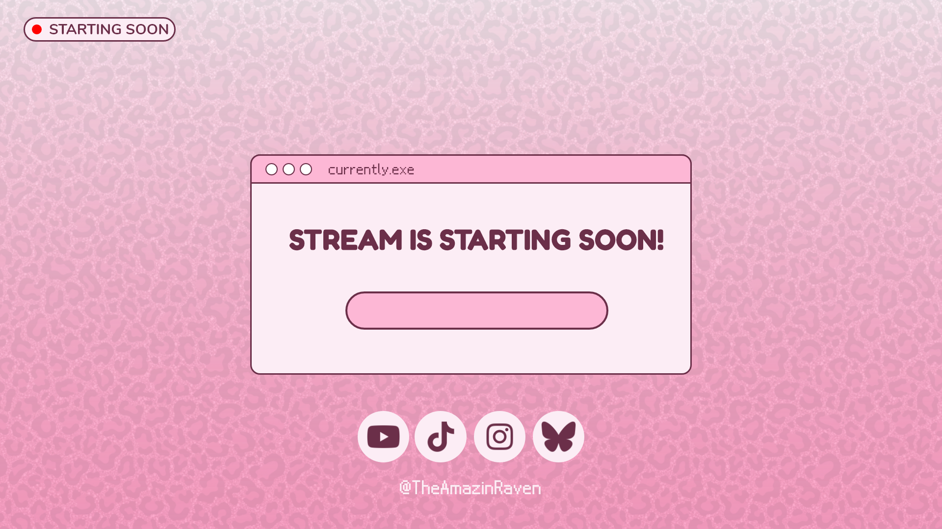 Stream Starting Soon Screen