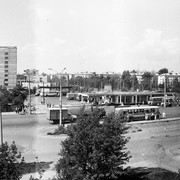 Аврора