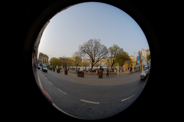 DSCF8963.jpg