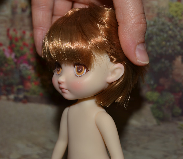 DSC-0145