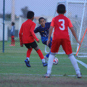 IMG 8841
