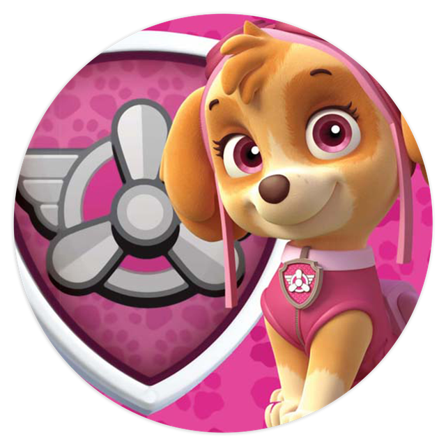 2102330-Patrulha-Canina-Rosa-Ana