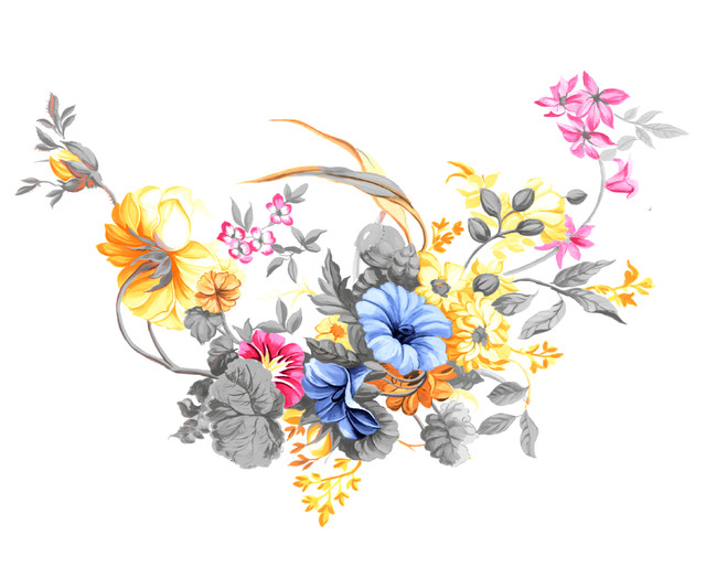 shutterstock-2007808826.jpg