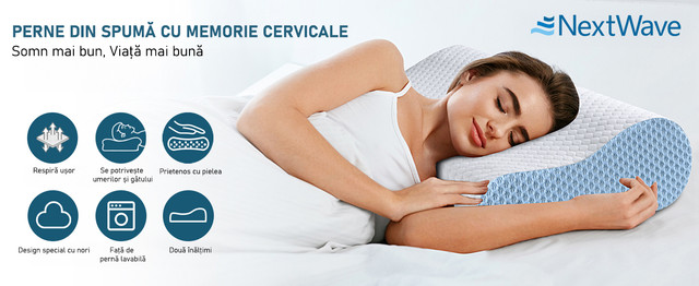 48313052-copy