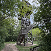 IMG 2356