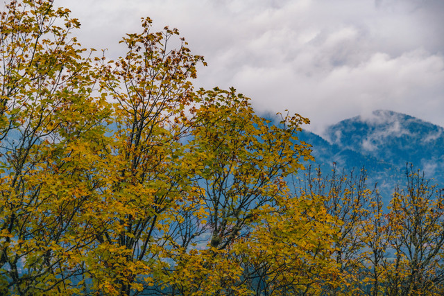 DSCF8043 копия