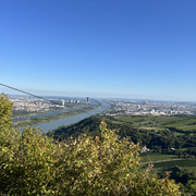 IMG-1948