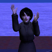 image027