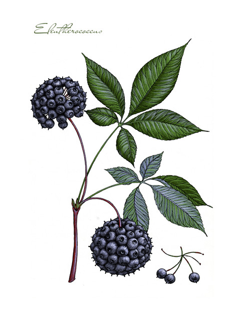 shutterstock 723464275.jpg