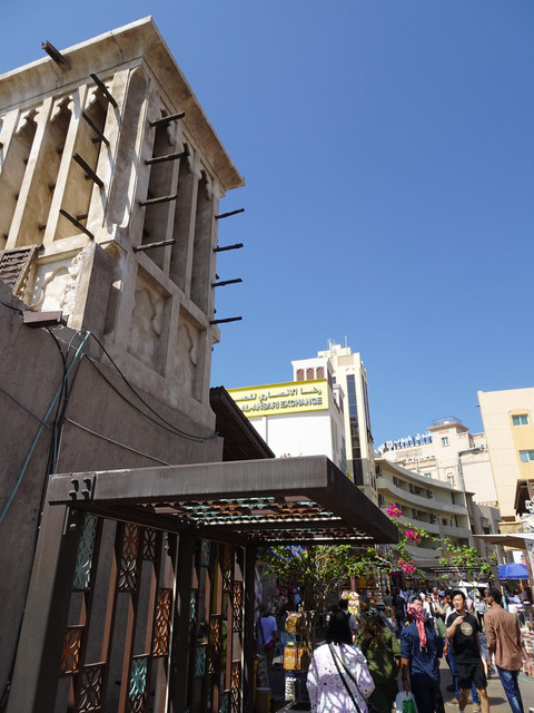 DSC08293.jpg