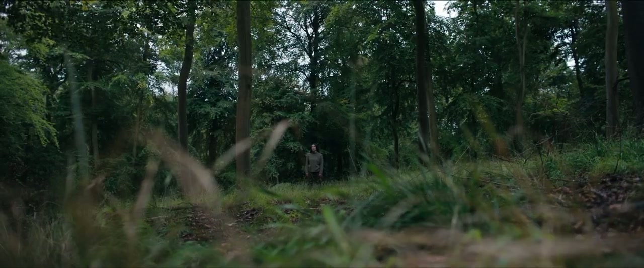 In the Earth Screenshot
