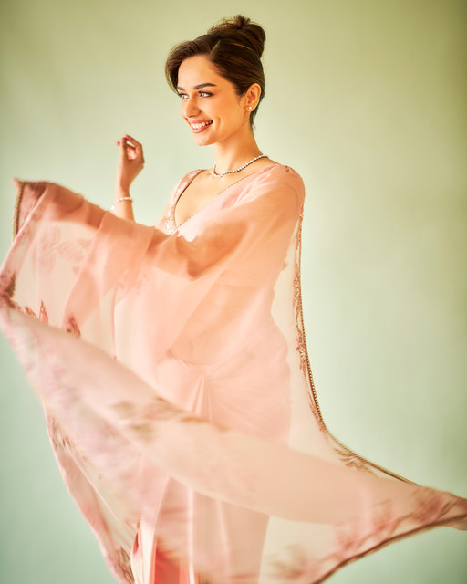 Manushi-Chillar-11.jpg