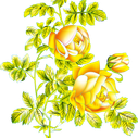 f0faa9224e0442629fe10afc2950c989