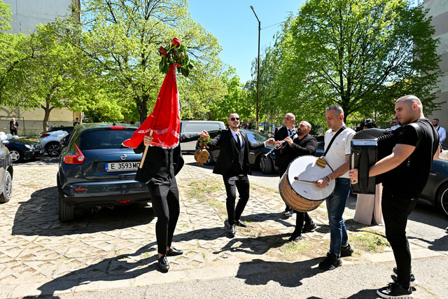 Pic 0339