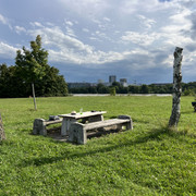 IMG-8726