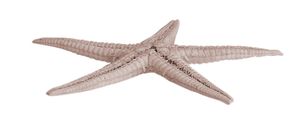 Element9.png