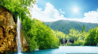 oie-St-Azcczn0xle.gif
