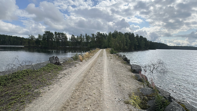 IMG 4564.jpg