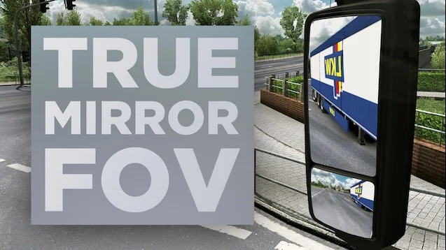 True Mirror FOV for ETS2