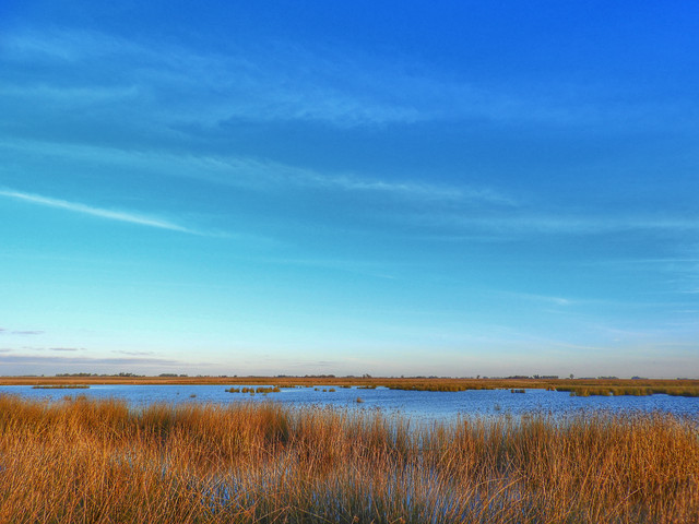 DSCN4826.jpg