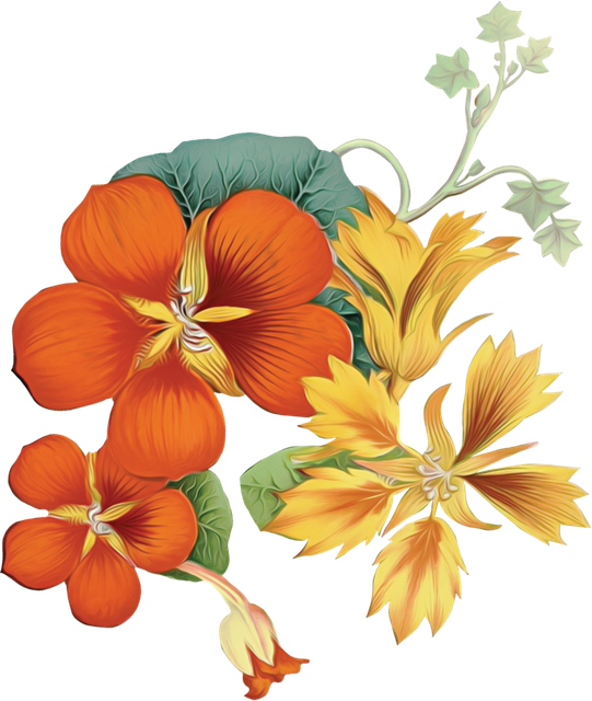 Layer 23 (2).png