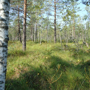 DSC00099