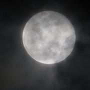 Pmoon-066
