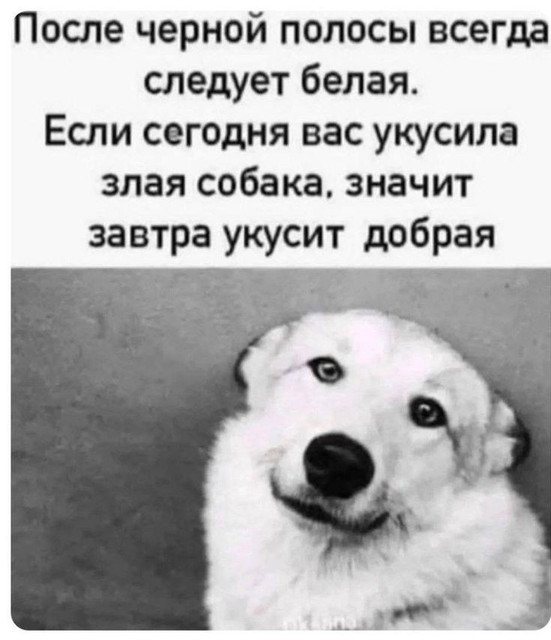 1000043441