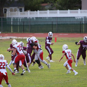 IMG-2617