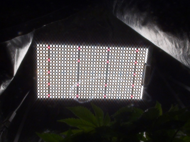ledlight