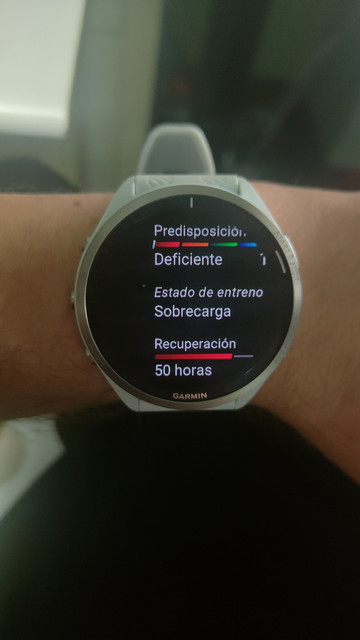 IMG20241120190258