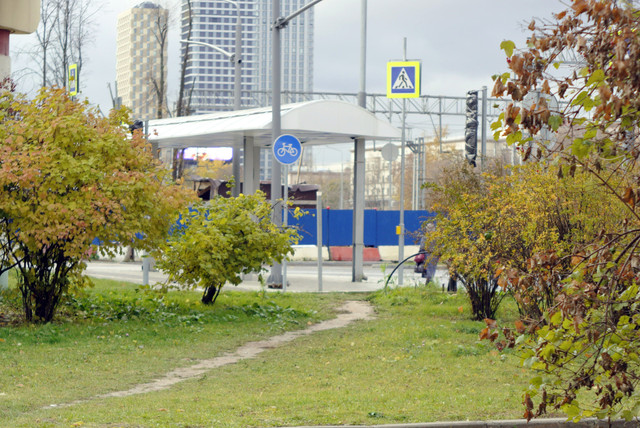 DSC7611.jpg