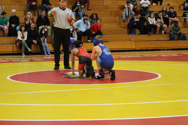 IMG-0126