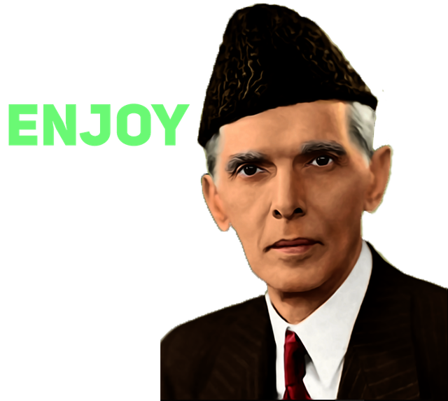enjoy