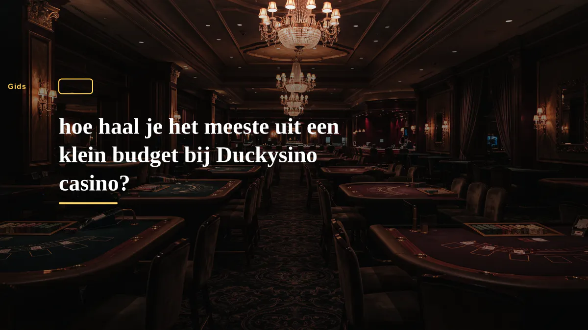 hoe haal je het meeste uit een klein budget bij Duckysino casino?
