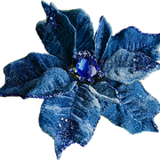 BC-ATaste-Of-Winter-El-29