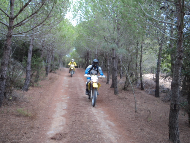 DSC00236.jpg