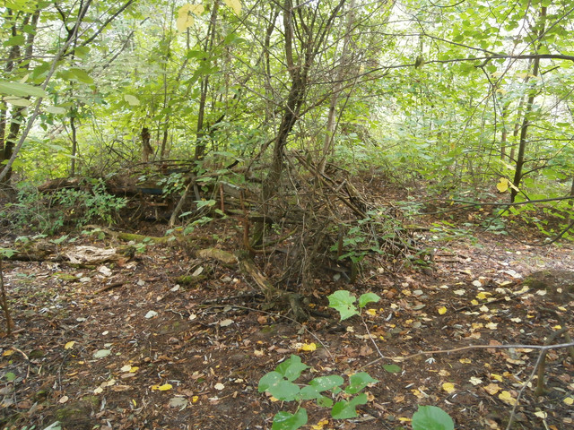 OLYMPUS-DIGITAL-CAMERA.jpg